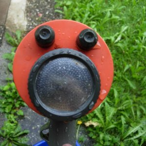 Ein Almost-Hidden Mickey in Baloo's Gartendusche:-)