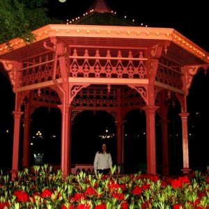pavilion alex1