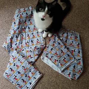 Hosen Kater
