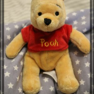 comp IMG 6705