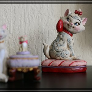 comp IMG 7360
