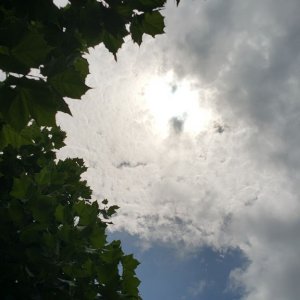 20170821 144156 010