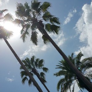 20170821 153635