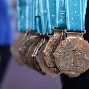 10K runDisney DLP 2017 (35)