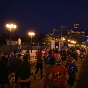 HM runDisney DLP 2017 (27)