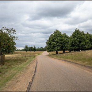IMG 0519