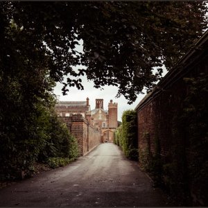 IMG 0523