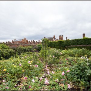 IMG 0534