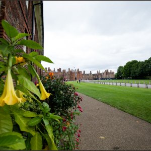IMG 0541