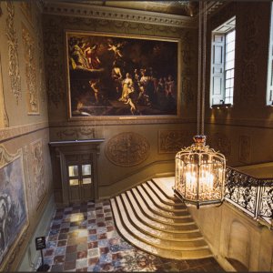 IMG 0595