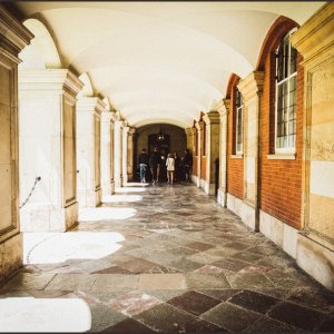 IMG 0619
