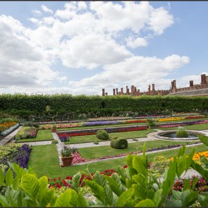 IMG 0729