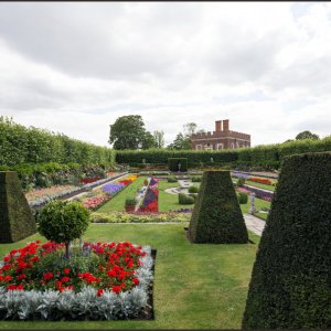 IMG 0739