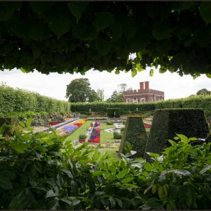 IMG 0740
