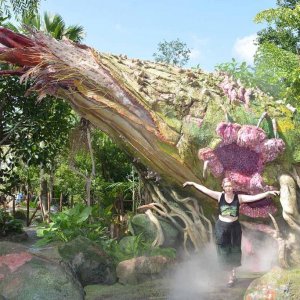 AK PANDORAENTRANCEICON 20170806 404009697217
