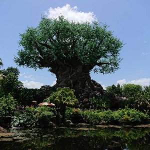 DSC 0051