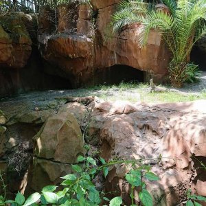 DSC 0060