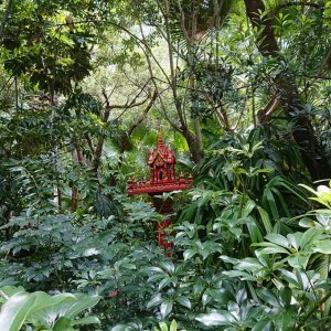 DSC 0078
