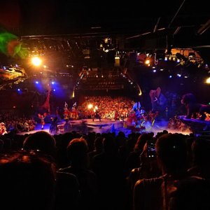 DSC 0142