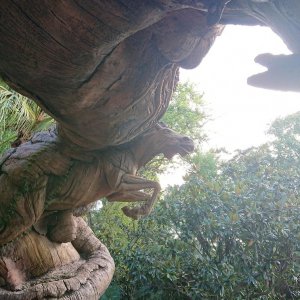 DSC 0187