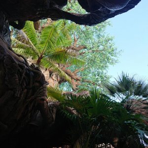 DSC 0193