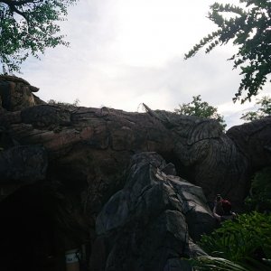 DSC 0201