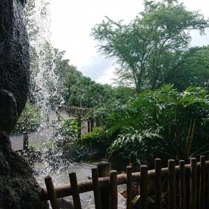 DSC 0203