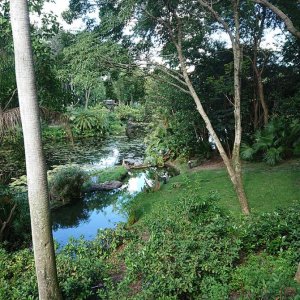 DSC 0205