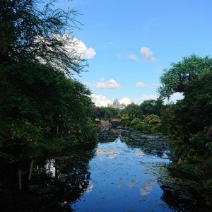 DSC 0208
