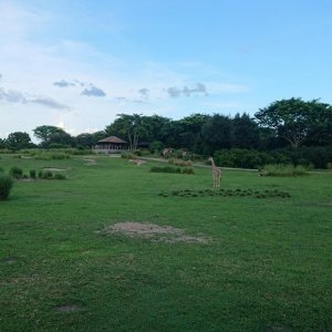 DSC 0223