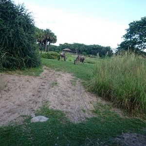DSC 0225