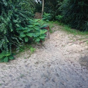 DSC 0242