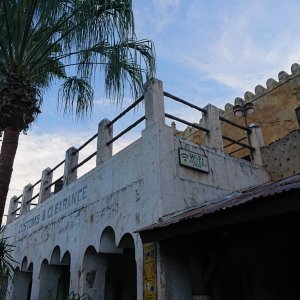 DSC 0247