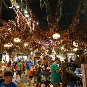 DSC 0251