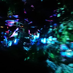 DSC 0277