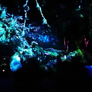 DSC 0278