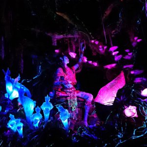 DSC 0287
