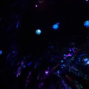 DSC 0289