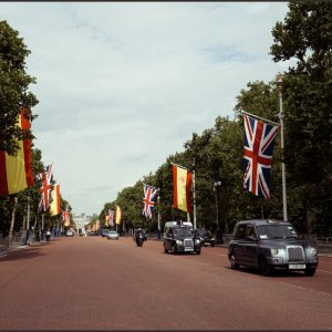 IMG 0829