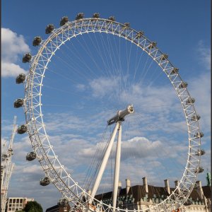 IMG 0946