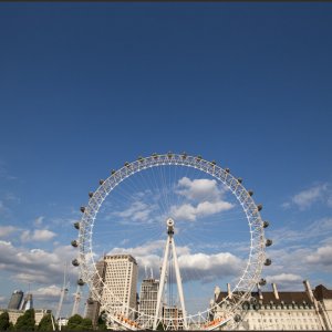 IMG 0947