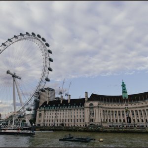 IMG 0951