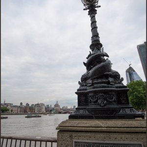 IMG 0969