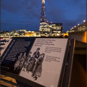 IMG 0999