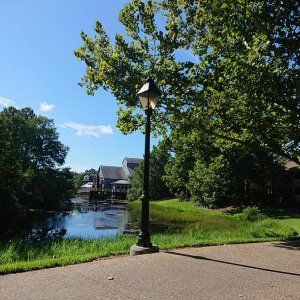 DSC 0298