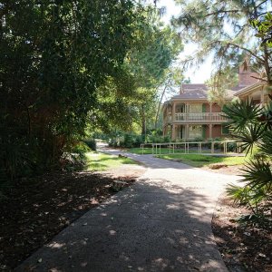 DSC 0303