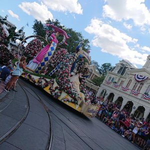 DSC 0335