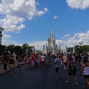 DSC 0409