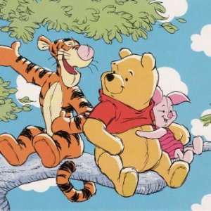 Winnie Pooh, Niederlande