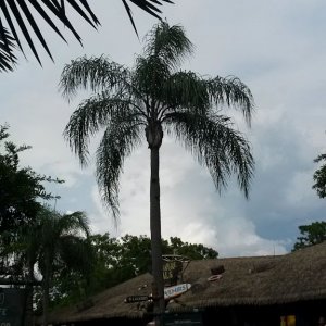 20170903 162629